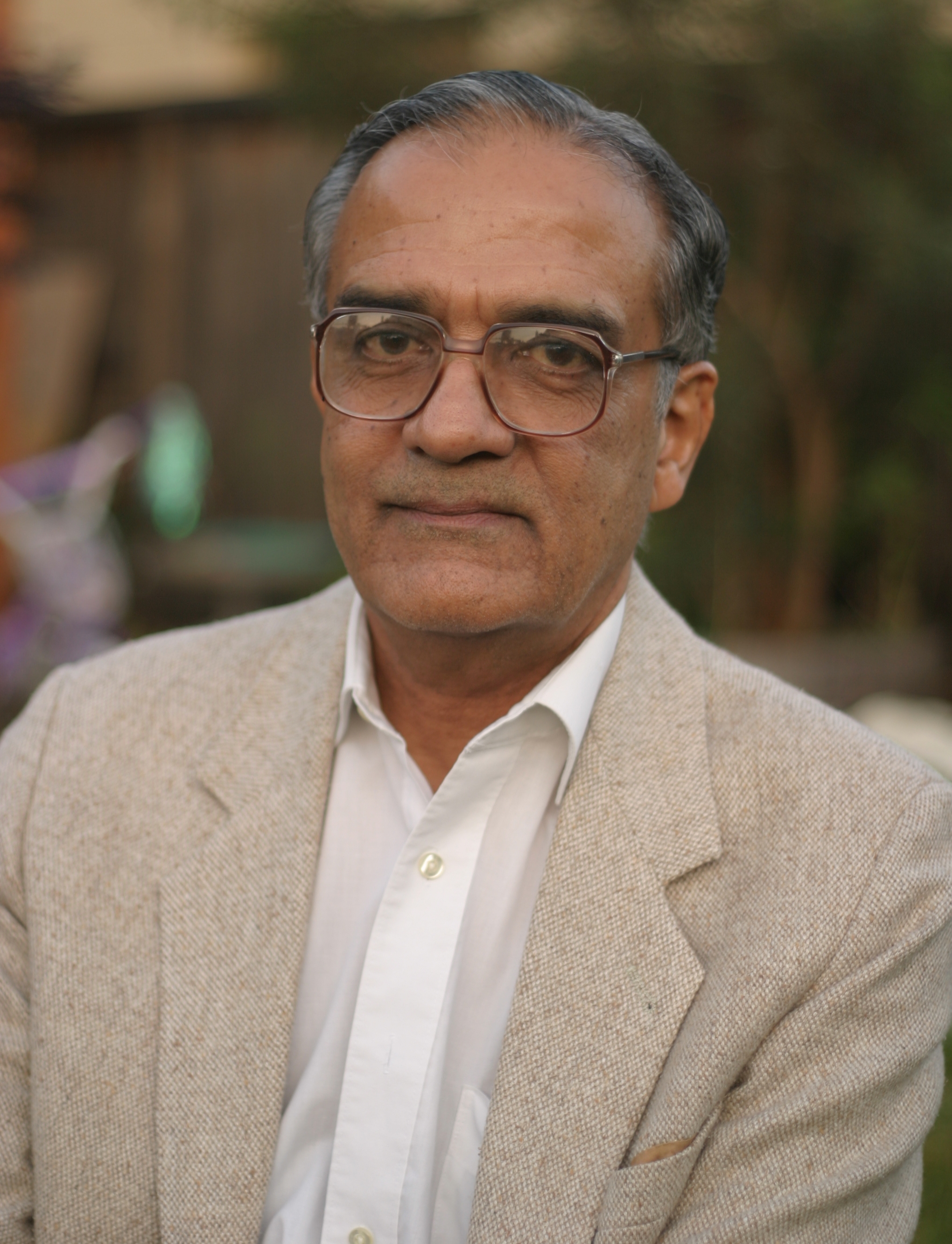Professor P. Krishna